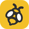 Bee Foundry